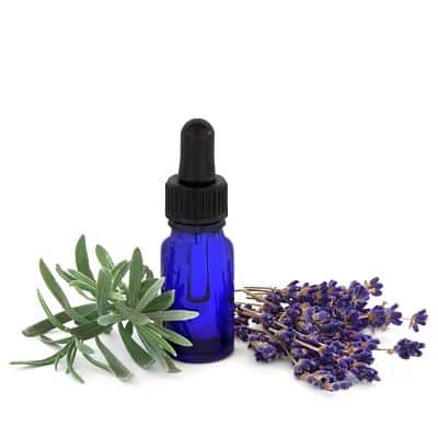 Lavender Essential Oils That Help Hair Growth Fast