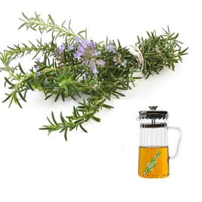 Rosemary Essential Oils That Help Hair Growth Fast