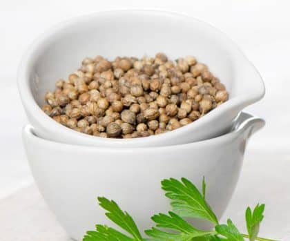 coriander-seed Herbs to Lose Weight Quickly
