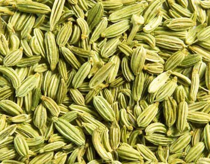 fennel-seed Herbs to Lose Weight Quickly