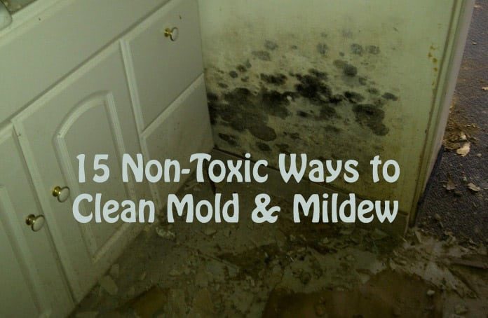 Home Remedies to Get Rid of Mold and Mildew