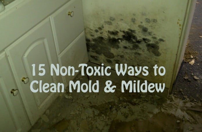 how to get rid of mold in your house home remedies