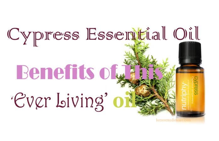 Cypress Essential Oil As A Home Remedy For Health and Other Benefits