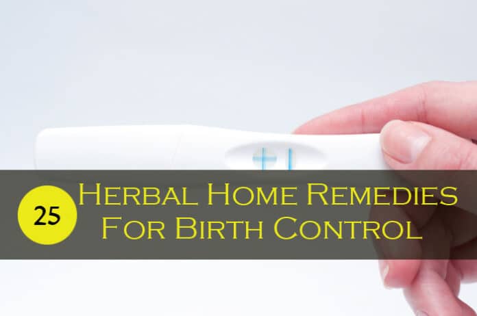 Home Remedies For Birth Control - Avoid Pregnancy Naturally